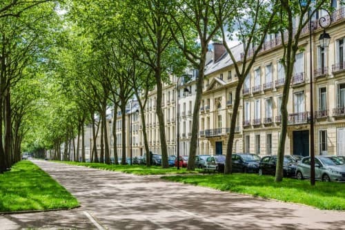 vue rue arboree versailles