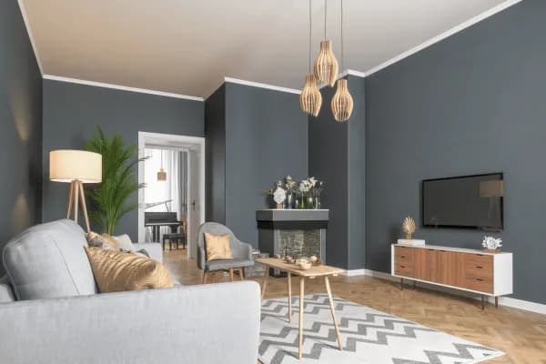 interieur salon logement T5