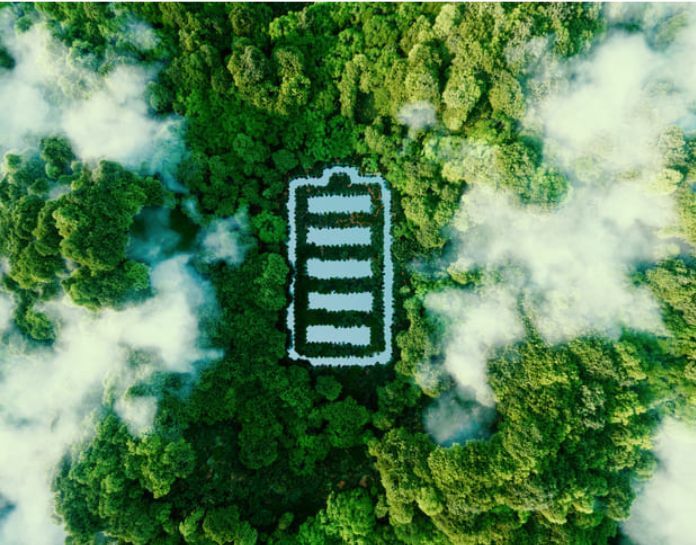 batterie empreinte sur fond foret verte luxuriante