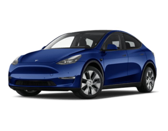 tesla y bleu
